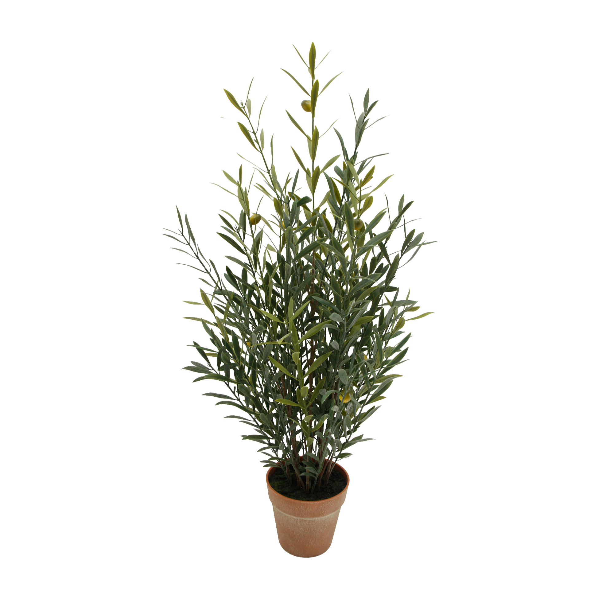 POTTED OLIVE PLANT 30"H GREEN WITH GREEN OLIVES