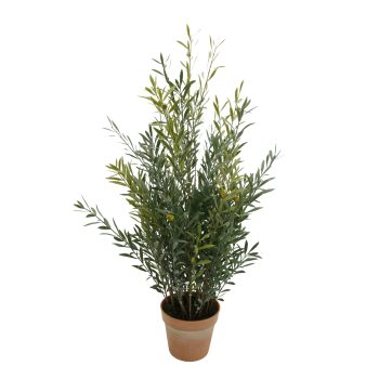 POTTED OLIVE PLANT 43"H GREEN WITH GREEN OLIVES