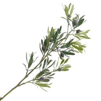 BRANCH OLIVE 30" GREEN WITH DARK OLIVES
