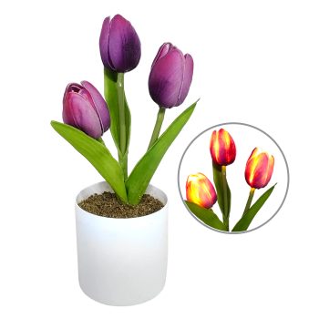 LIGHTED TULIPS 3X9" PURPLE REAL-TOUCH 2AAA W/TIMER WHITE POT