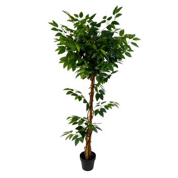 POTTED FICUS TREE 63"H GREEN SILK LEAVES