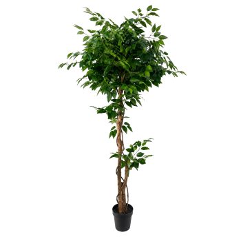 POTTED FICUS TREE 71"H GREEN SILK LEAVES