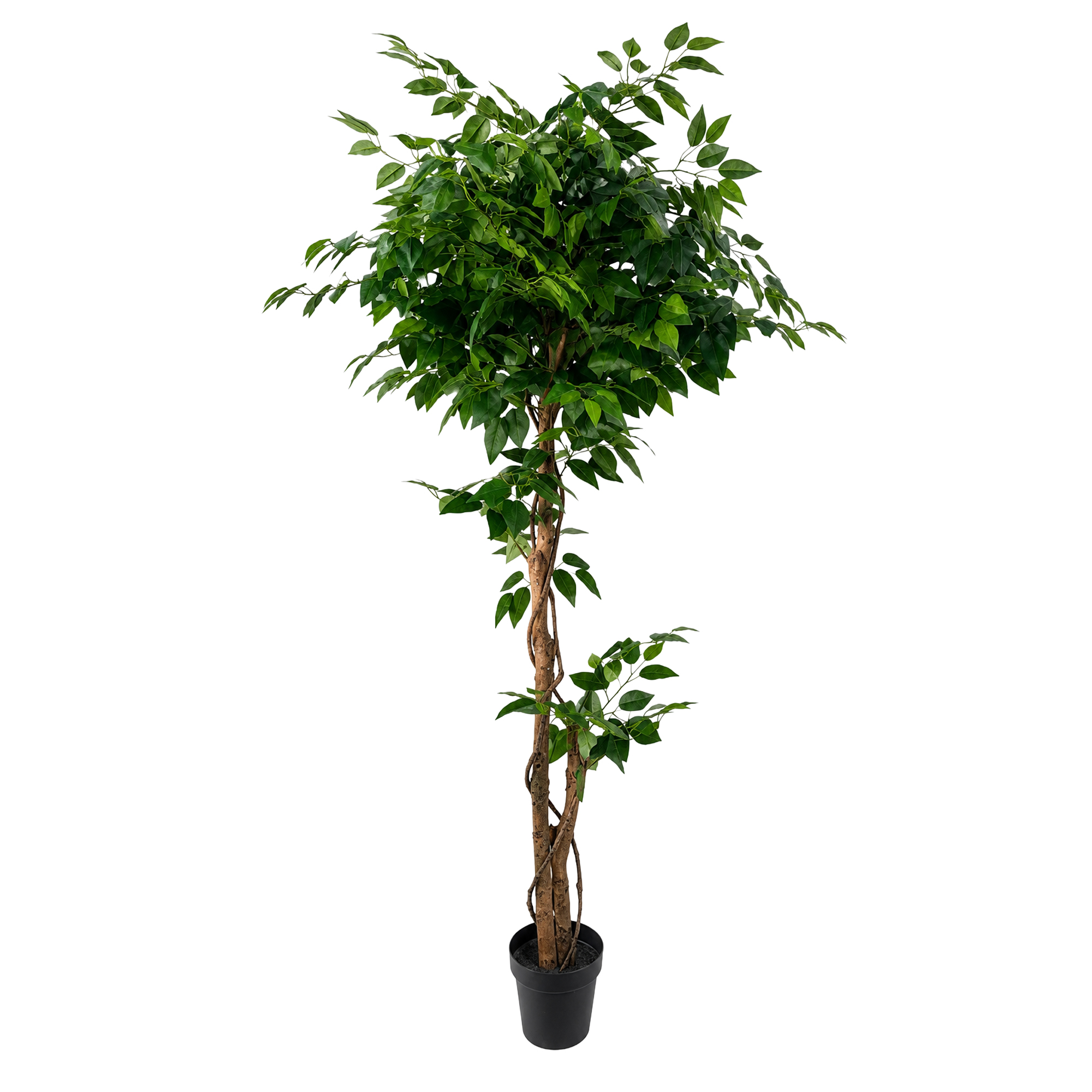 POTTED FICUS TREE 71"H GREEN SILK LEAVES