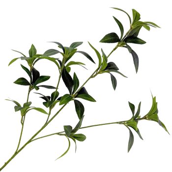 SPRAY PIERIS JAPONICA 34" GREEN