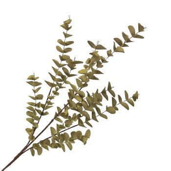 SPRAY SILVER DOLLAR EUCALYPTUS 23.5" LIGHT GREEN