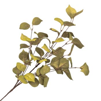 SPRAY FICUS LEAF 29.5" LIGHT GREEN TEXTURED FOILAGE