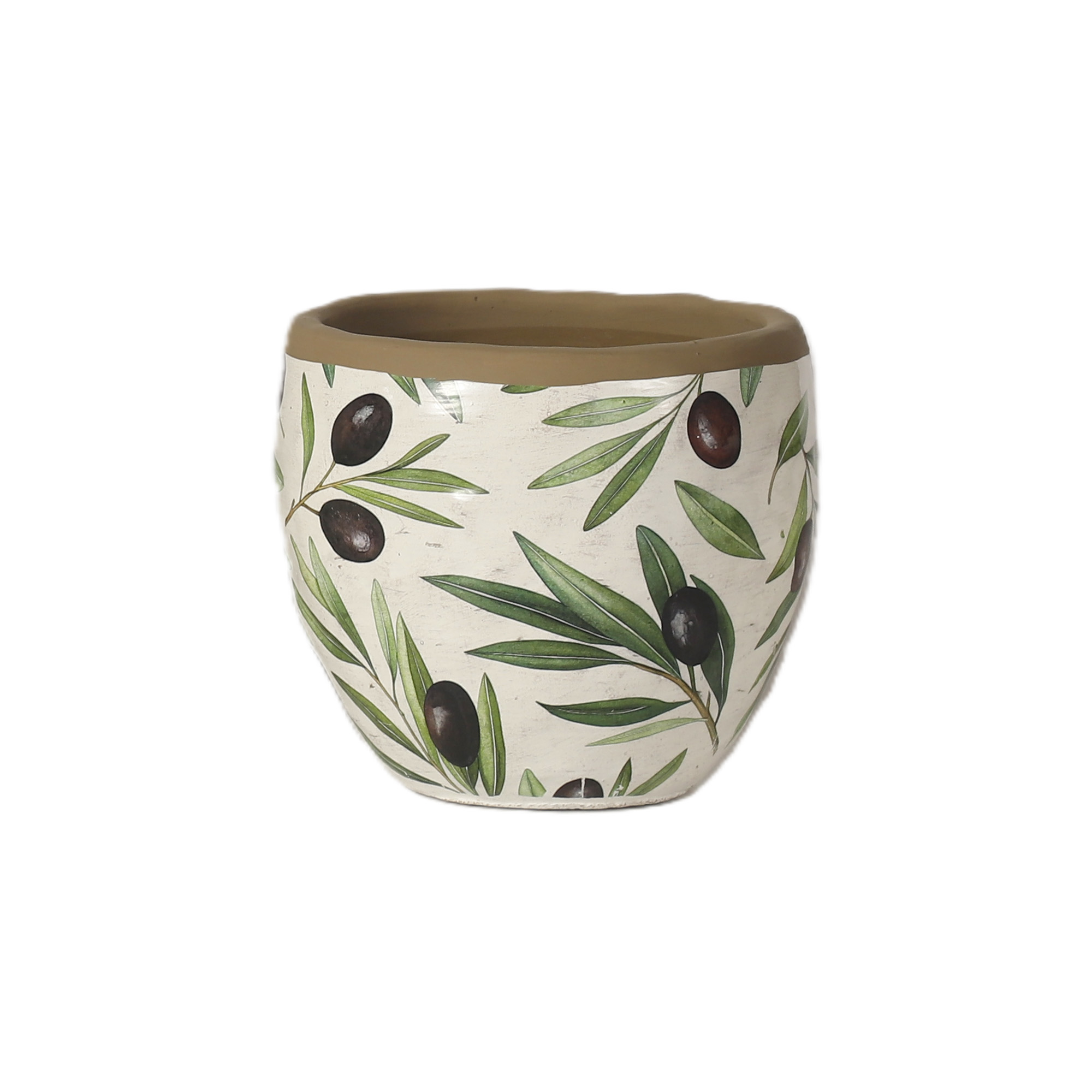 CEMENT POT 5"H SOFT WHITE W/OLIVE BRANCH DESIGN SAGE/FOREST GREEN LEAVES